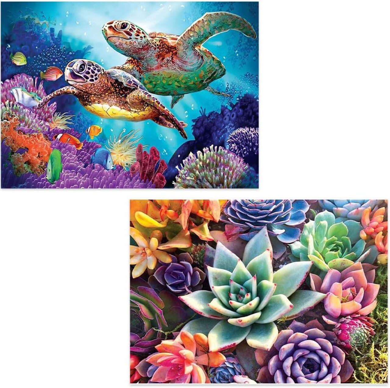 2-Piece Diamond Painting Kits for Adults,Colorful Sea Turtle and Succulent Plant Painting Colorful Artwork for Beginner Perfect for Home Wall Deco Diamond Decor 12"x16